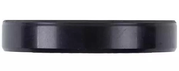 113IG20 Семеринга 30x45x10 TC