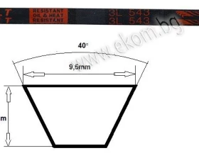 Снимка на 116LG62 Ремък 3L 543