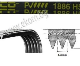 Снимка на 116LG50 Ремък 1886мм H5 гумен