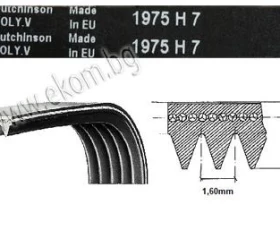 Снимка на 116LG67 Ремък 1975мм H7 гумен