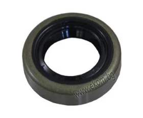 Снимка на 413LG63 Семеринга 15x24x7 TB(TZ)