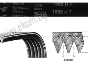 Снимка на 116LG49 Ремък 1985мм H7 гумен