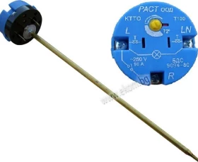 Снимка на 549БР07 Комбиниран ТР и ТО Раст