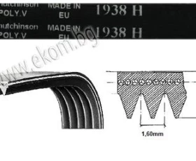 Снимка на 116LG57 Ремък 1938мм H7 гумен