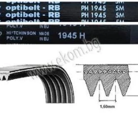 Снимка на 116LG182 Ремък 1945мм H7 гумен
