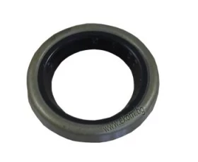 Снимка на 413LG59 Семеринга 15x22x4