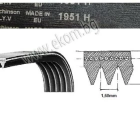 Снимка на 116LG113 Ремък 1951мм H7 гумен